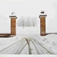 Profile Image for Orsodimondo.