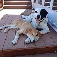 Profile Image for Nadine in California.