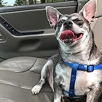 Profile Image for Sarah.