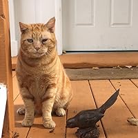 Profile Image for Victor The Reader.