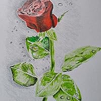 Profile Image for Neale .